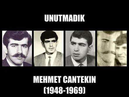 Mahmut Cantekin | Mehmet&nbsp;Cantekin